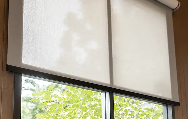 Fenster mit einem halb heruntergezogenem Stoffrollo. Durch das Fenster ist ein Baum sichtbar.