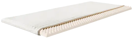 Eine flache Unterlage ähnlich einem Matratzentopper, in einer gepolsterten Stoffhülle. Die Hülle ist seitlich geöffnet. Im Inneren befindet sich eine Schicht aus Naturlatex, die auf der Oberfläche Zacken ähnlich einer Schallschutzverkleidung aufweist.
